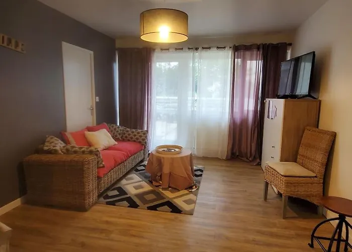 T2 Tres Cosy Proche Centre * אנז'ה